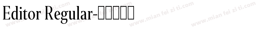 Editor Regular字体转换
